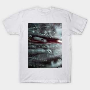 Warp Speed? T-Shirt